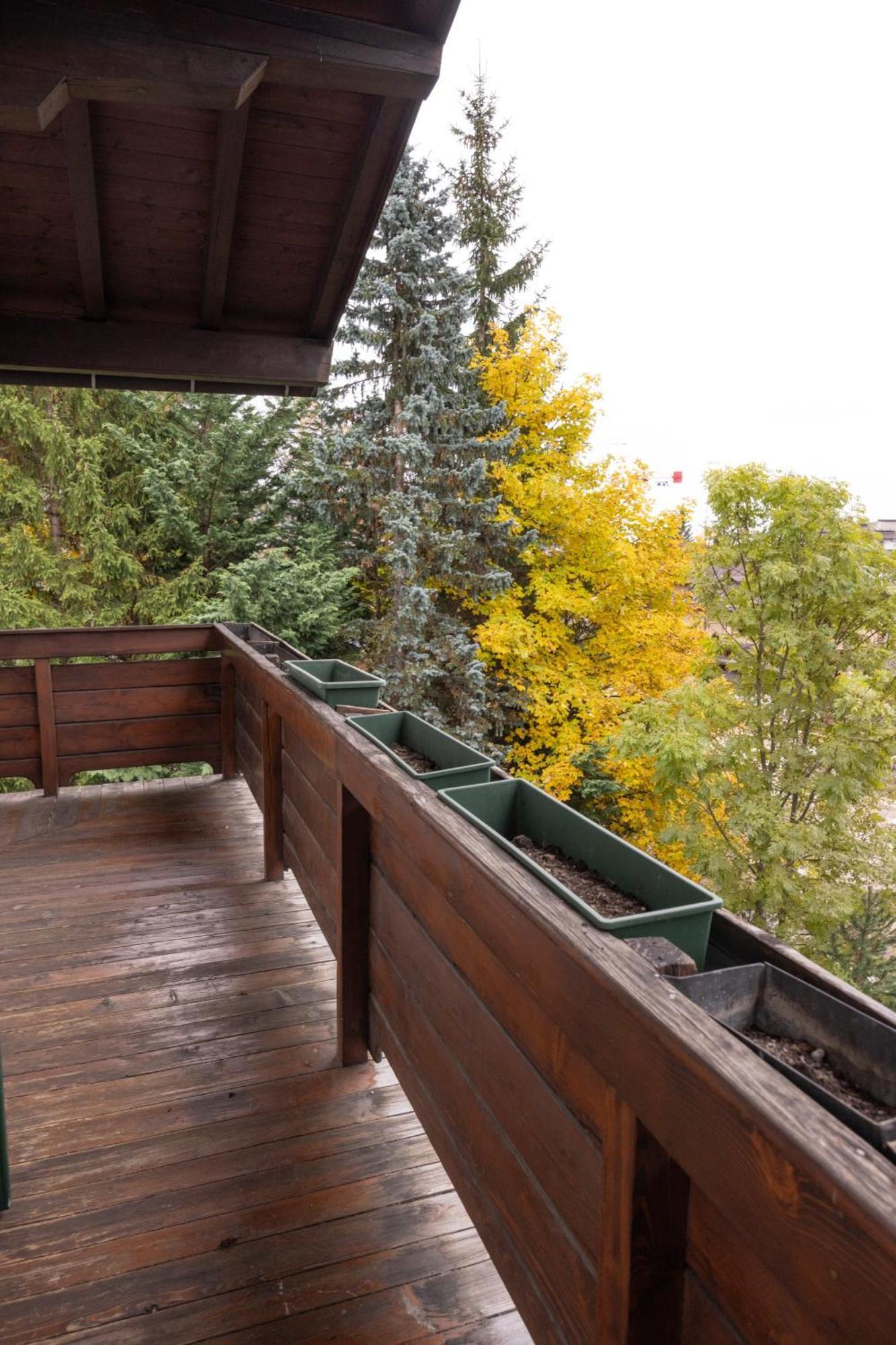 Apartmán Casa Ca Dei Fiori A Due Passi Dal Centro Di Cortina Cortina dʼAmpezzo Exteriér fotografie